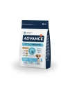 Pienso para Perro Cachorro Mini ADVANCE Puppy Protect de Pollo y Arroz 3kg